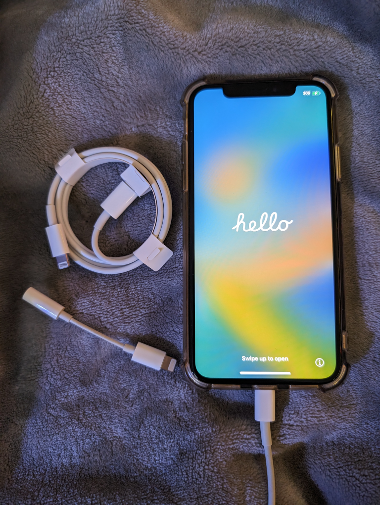iPhone X