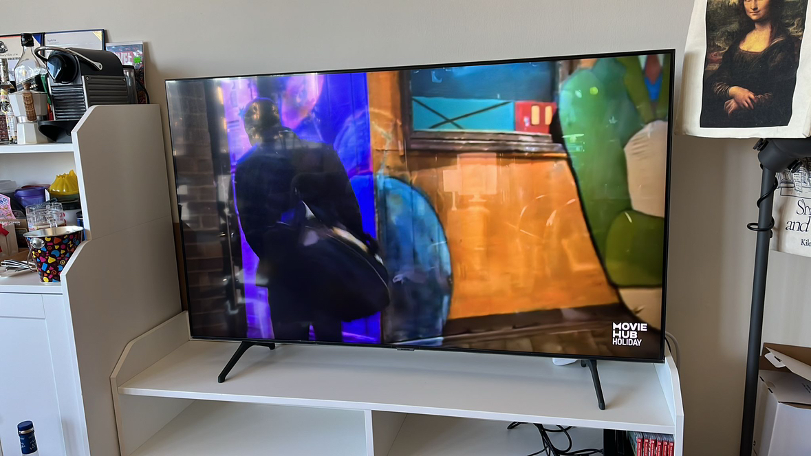 Samsung TV (55 inches)
