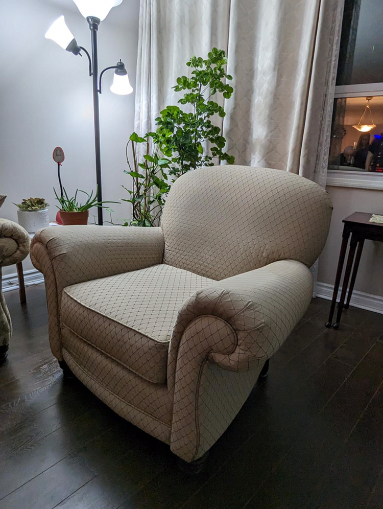 Two Sofa Chairs #SellingSpree