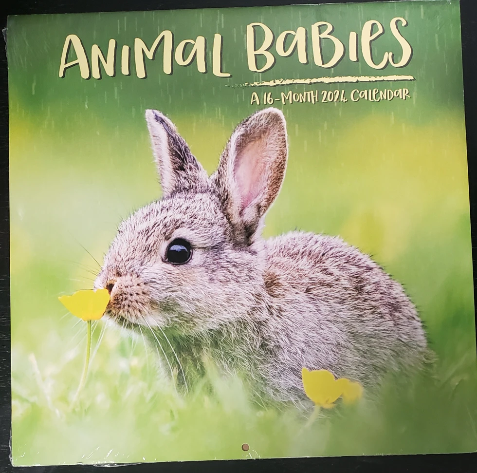 Cute Animal Babies Calendar thumbnail