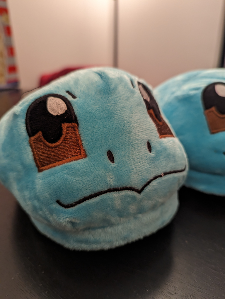 Squirtle Slippers w/ socks (Size 7-9 Mens)