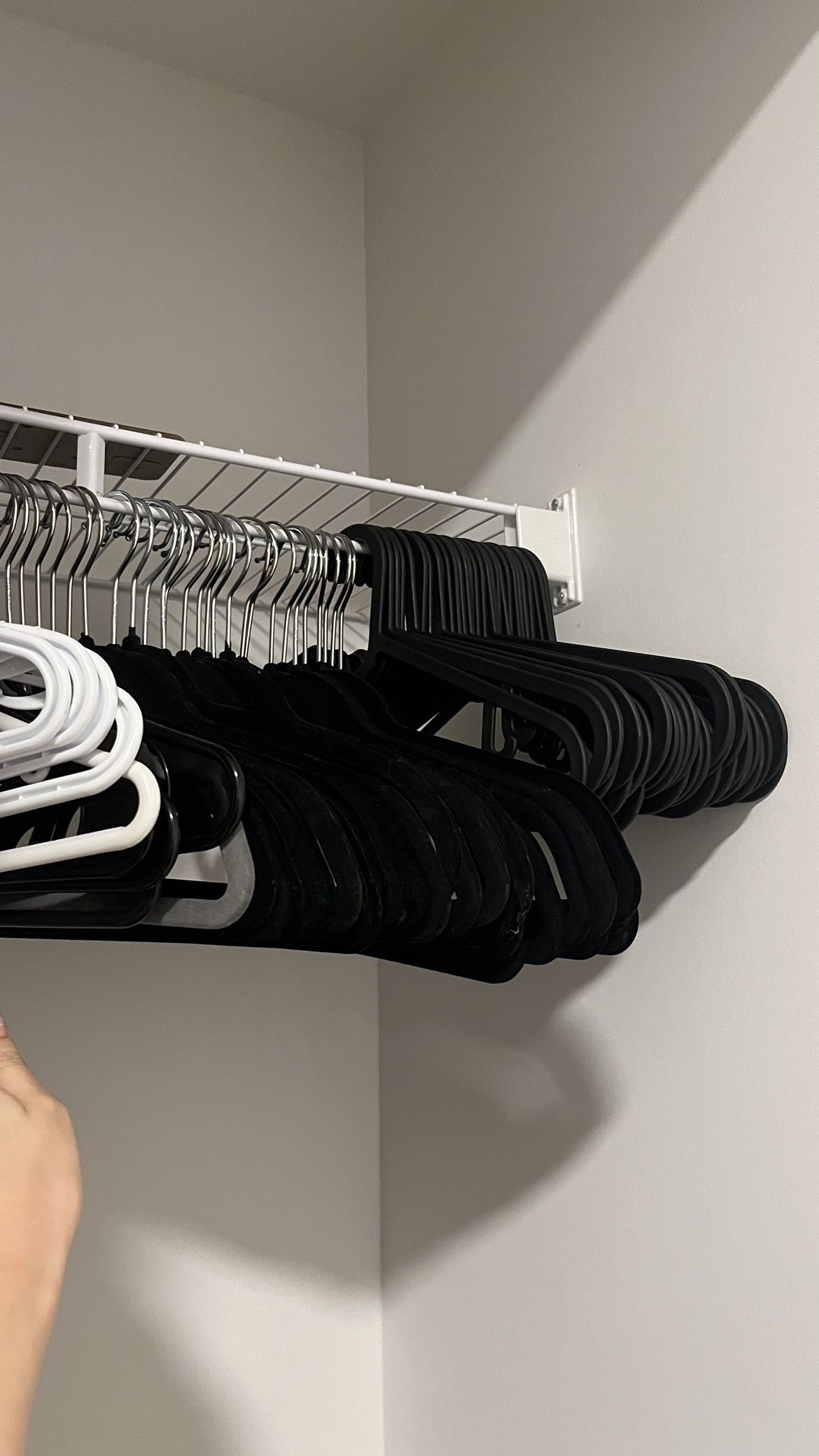 Hanger bulk - photo 2
