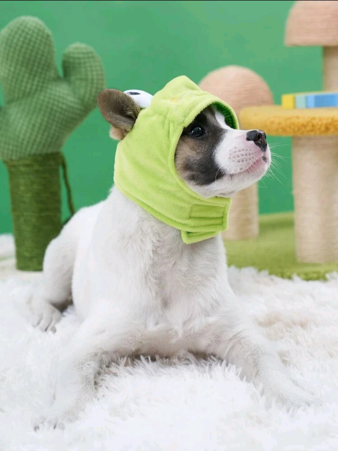 Frog Pet Hat - photo 5