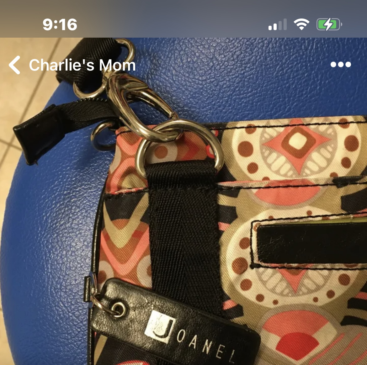 ✨✨Joanel Cross Body Bag image indicator(4)