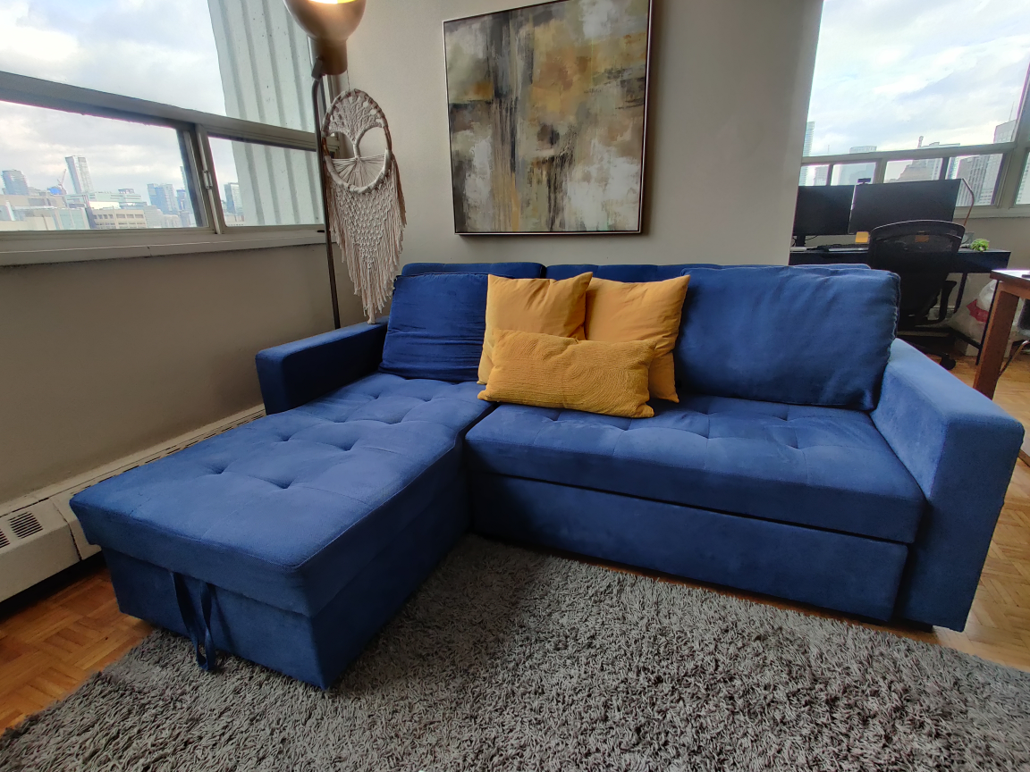Structube Megan Sectional Sofa bed