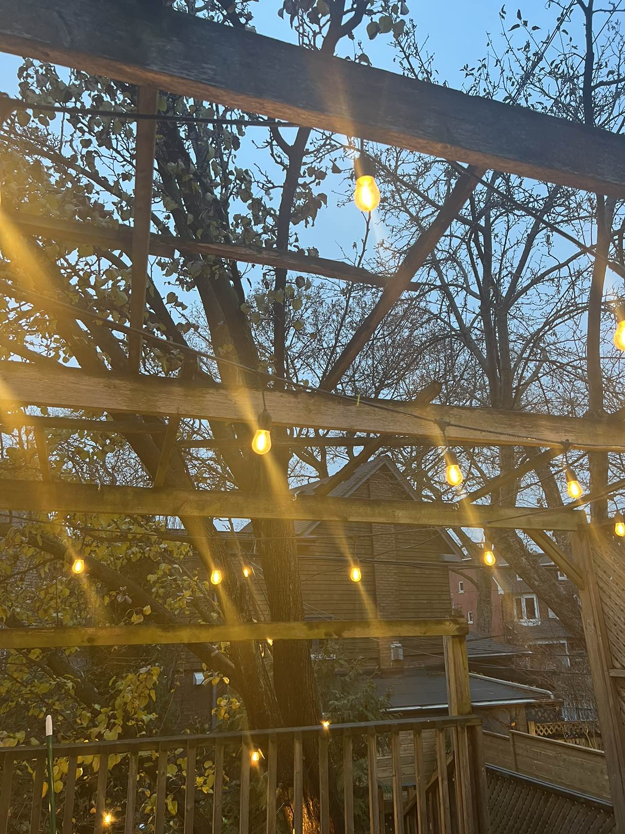 Outdoor Edison bulbs 100 yard