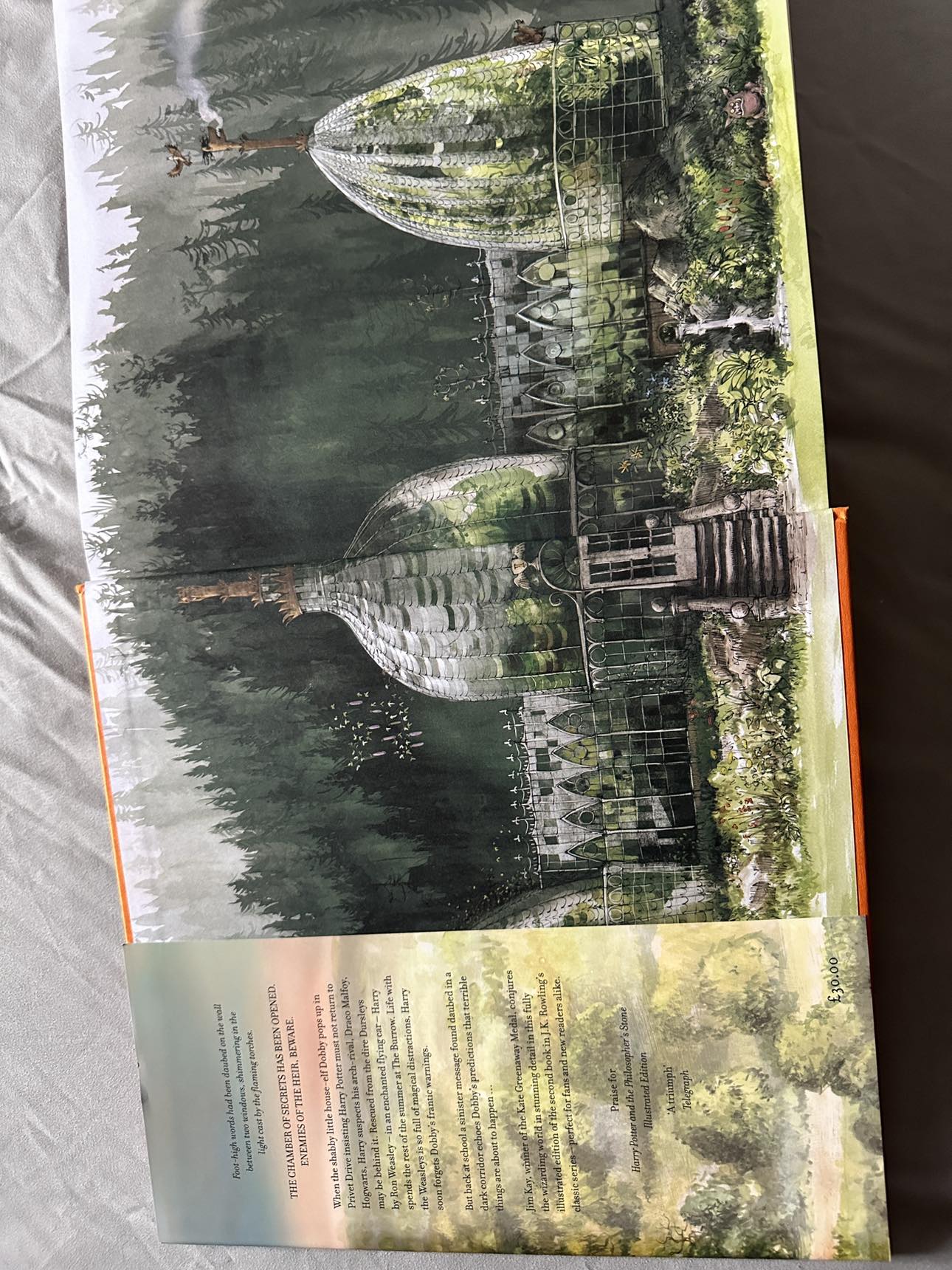 Harry Potter & The Chamber Of Secrets Illustrated Collector Ed. - photo 3