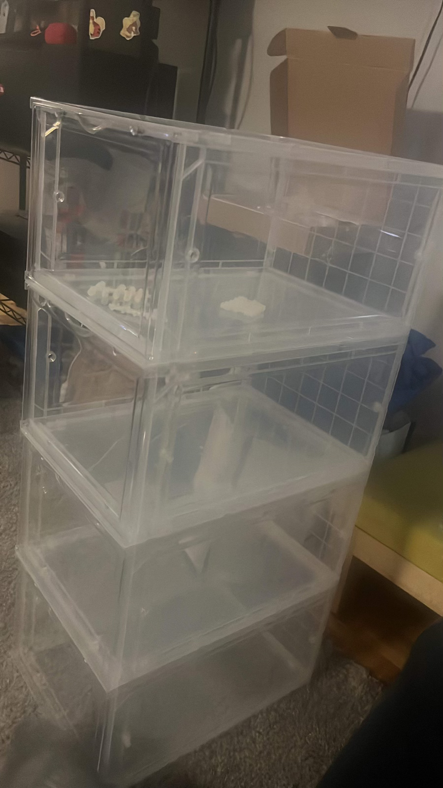 Transparent Shoe Box