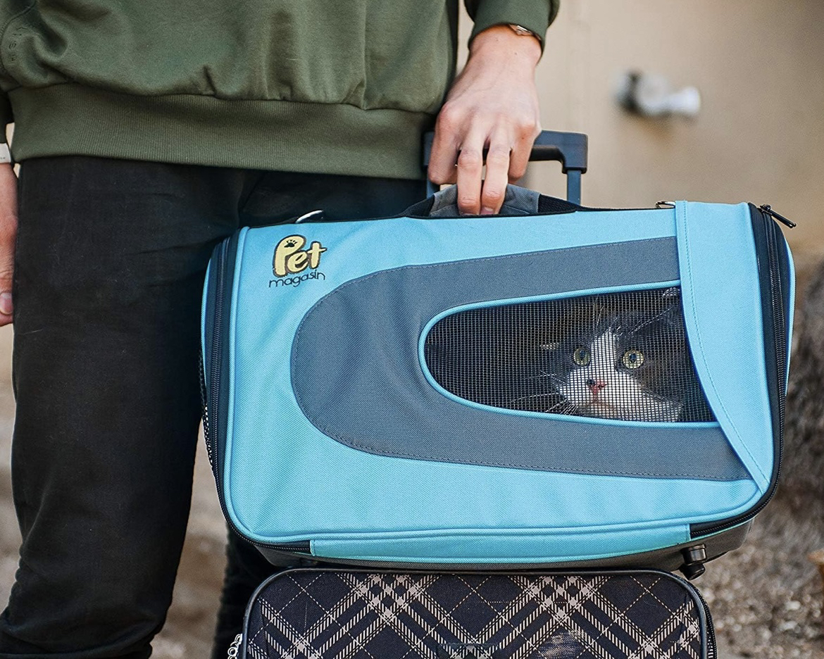 Pet Travel carrier (airline approved, in-cabin) thumbnail