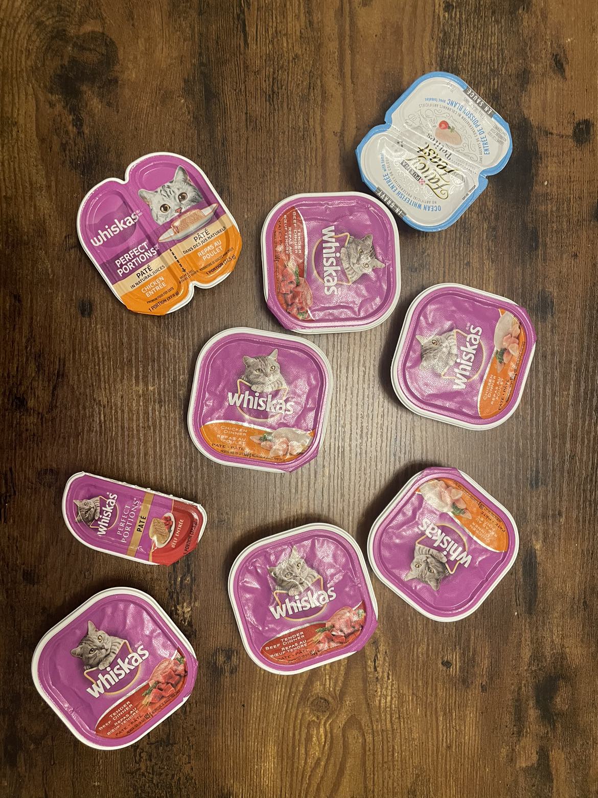 Free canned kitten food