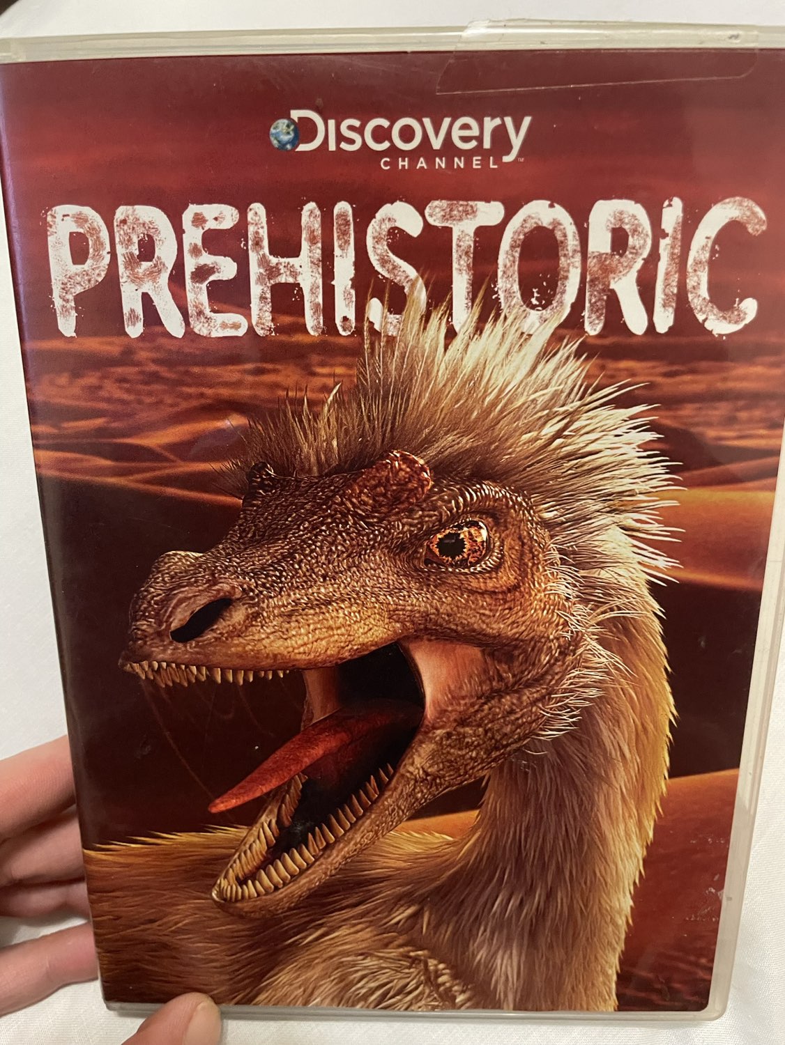 Dinosaur pack image indicator(5)