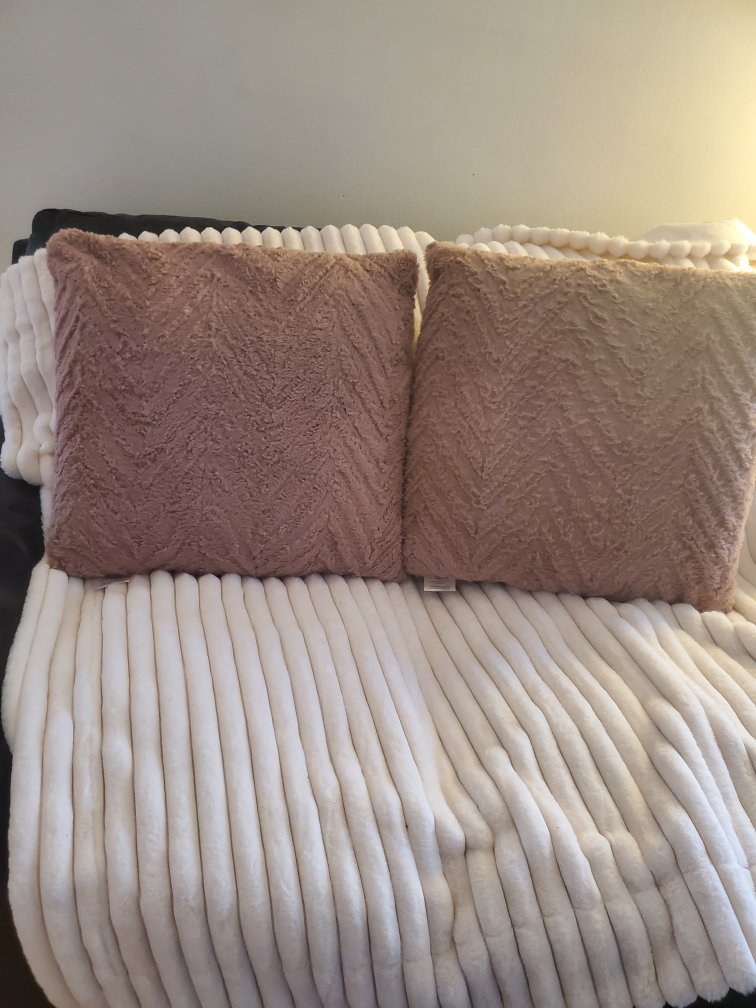 set of 2 throw pillows. home decor