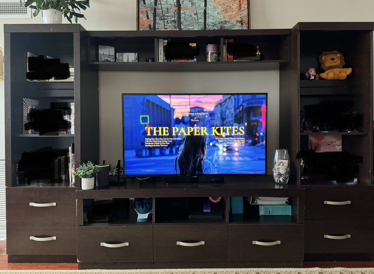 TV Wall Unit/Storage