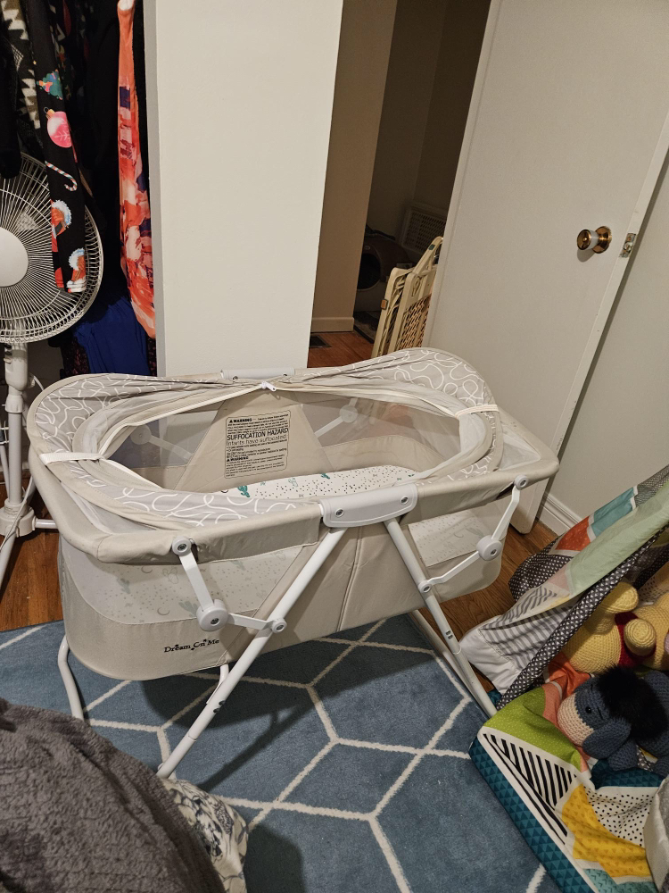 Bassinet - photo 3