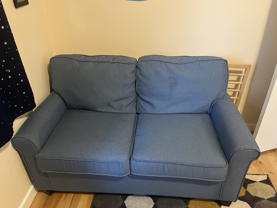 Loveseat Sofa Bed