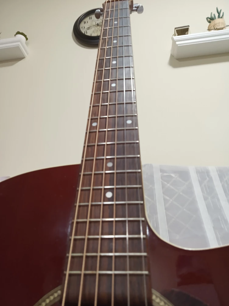Seagull Entourage Acoustic-Electric Burgundy CW GT QI - photo 3