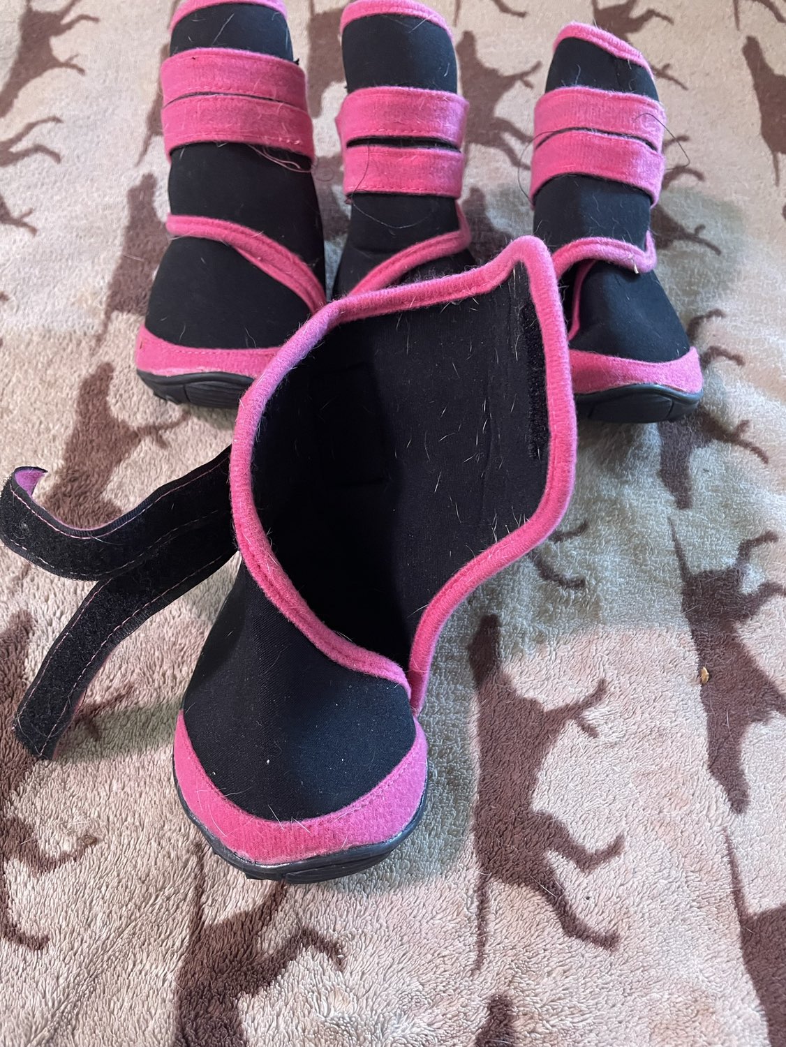 Dog booties image indicator(5)