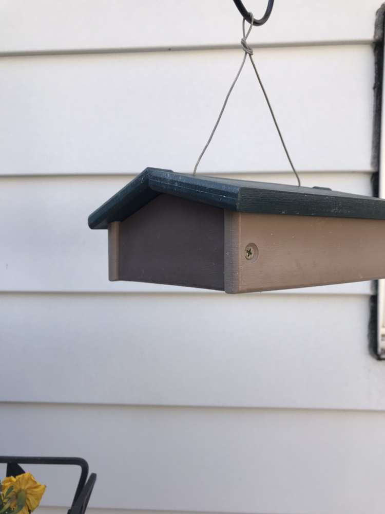 Upside down suet bird feeder