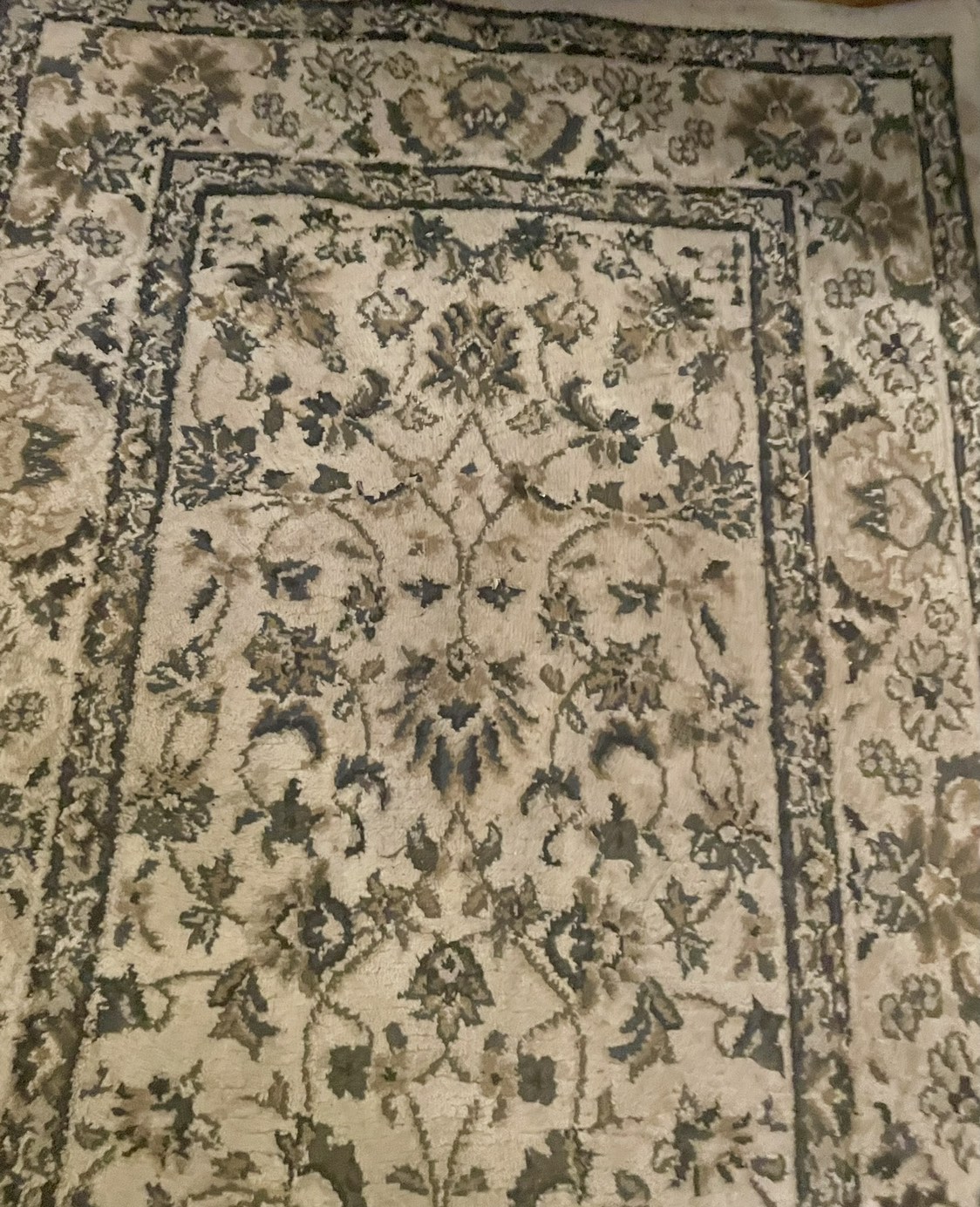 Area rug