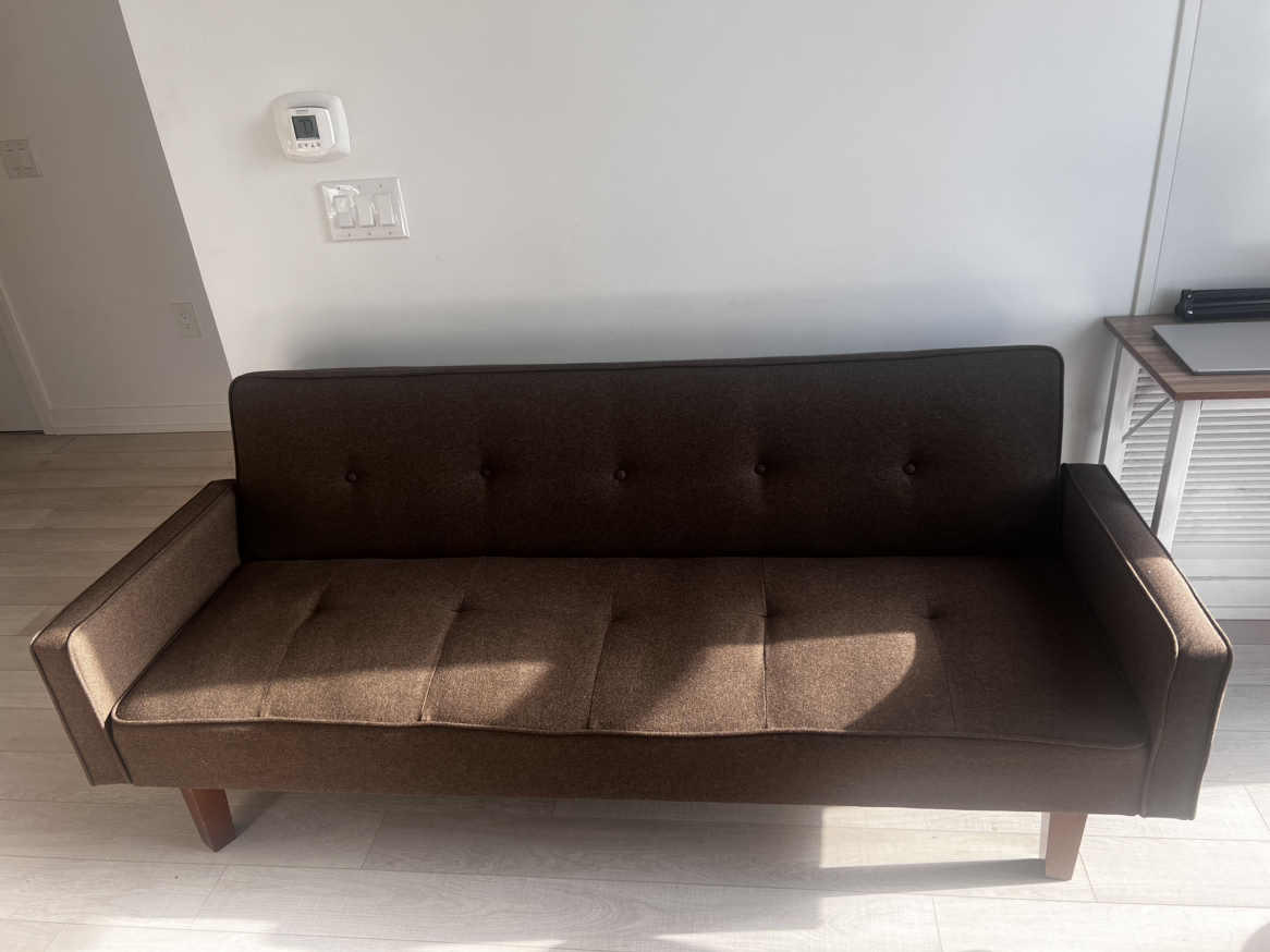 Wayfair couch - Nathalia 75" Square Arm Sleeper