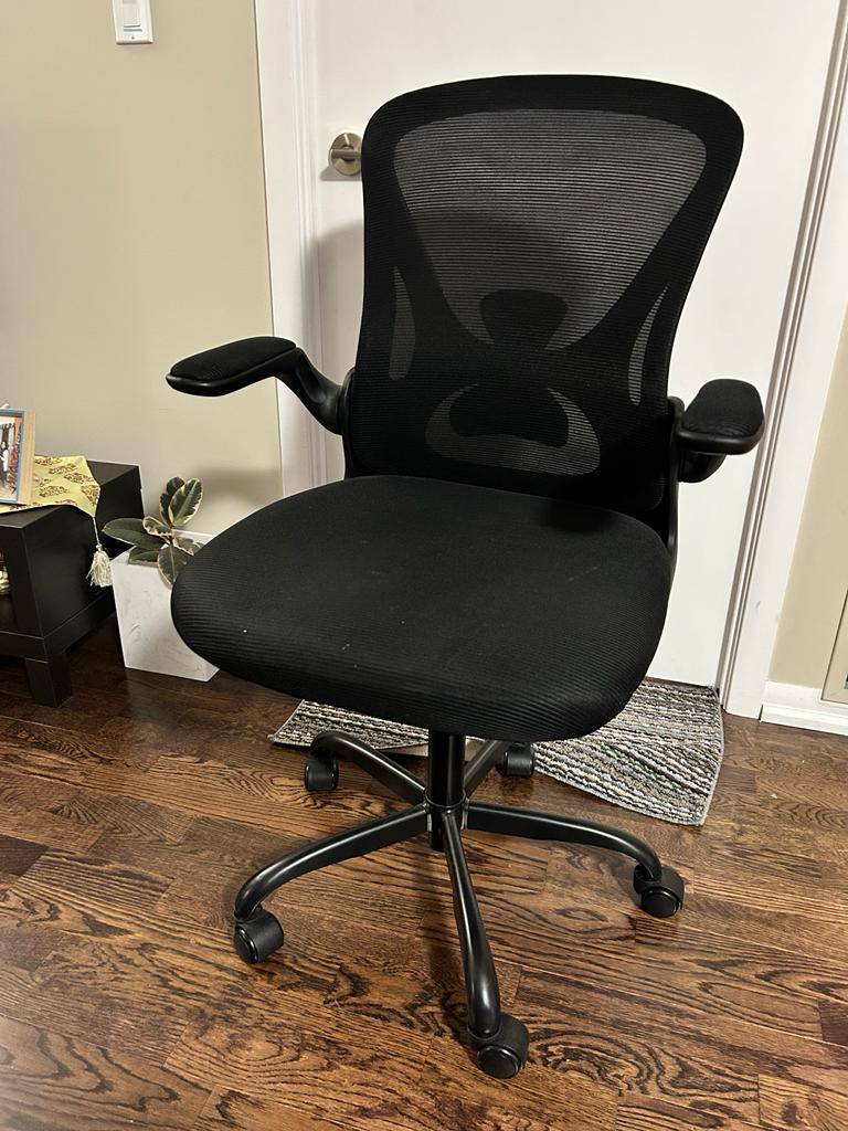 Ergonomic Office Chair - photo 3