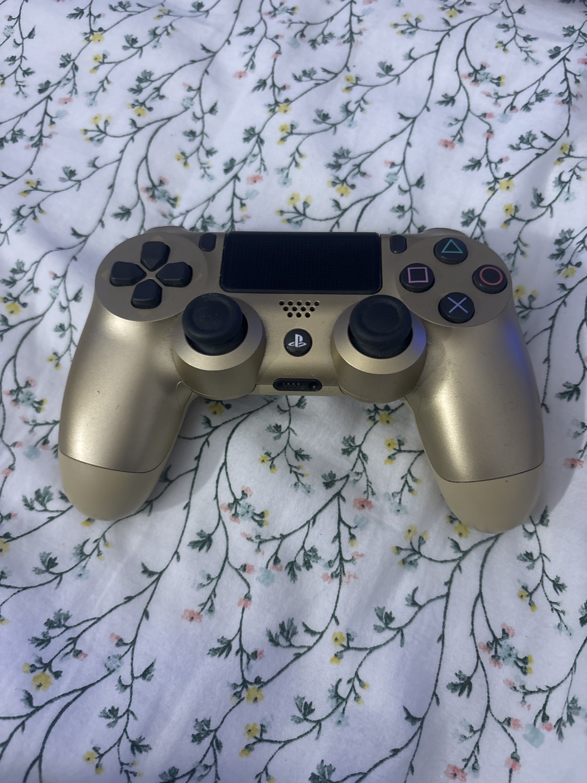 PS4 Controller