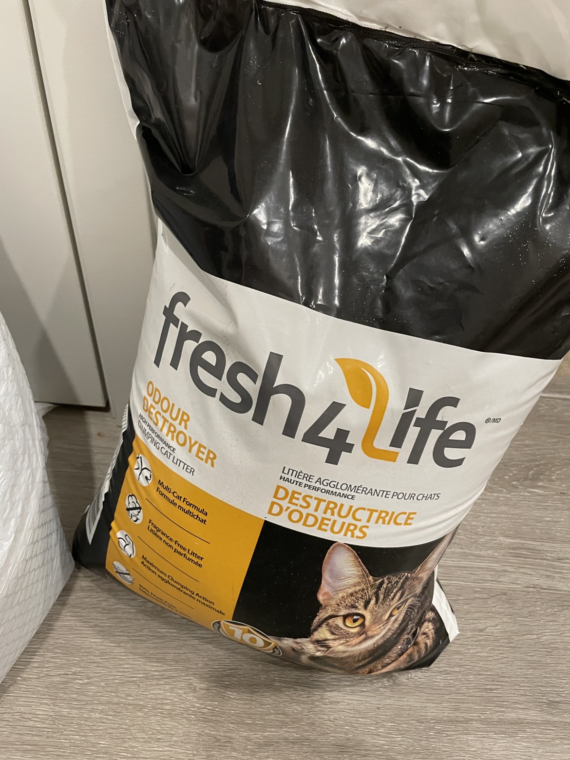 Cat Litter