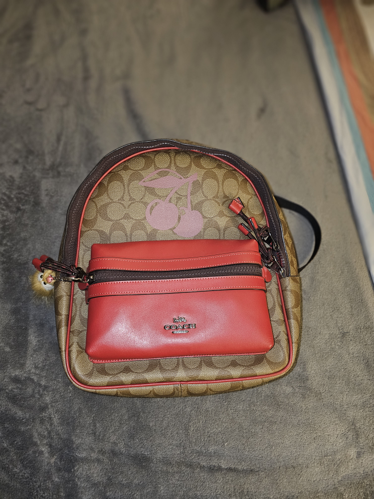 coach bag thumbnail
