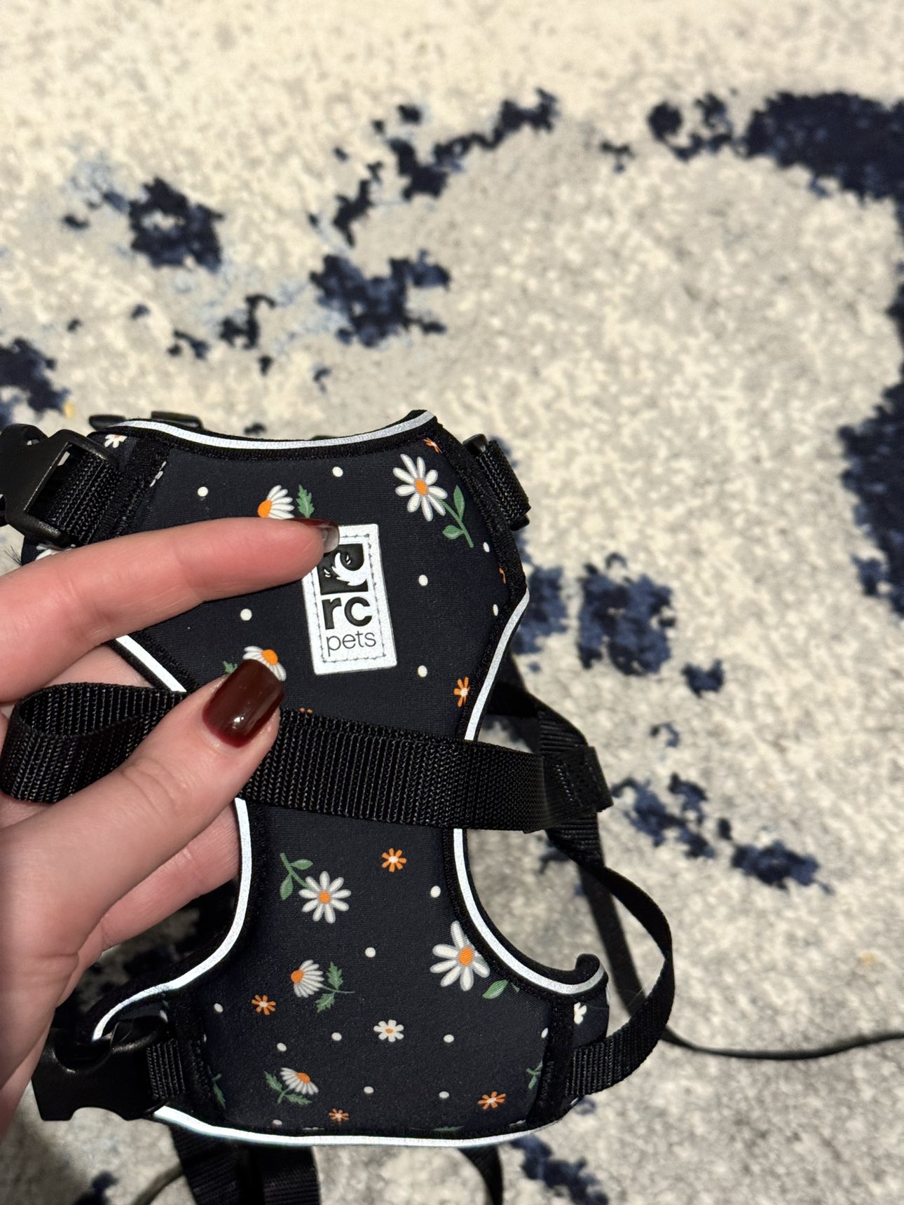 RC Pets Adventure Kitty Harness Daisies M image indicator(4)