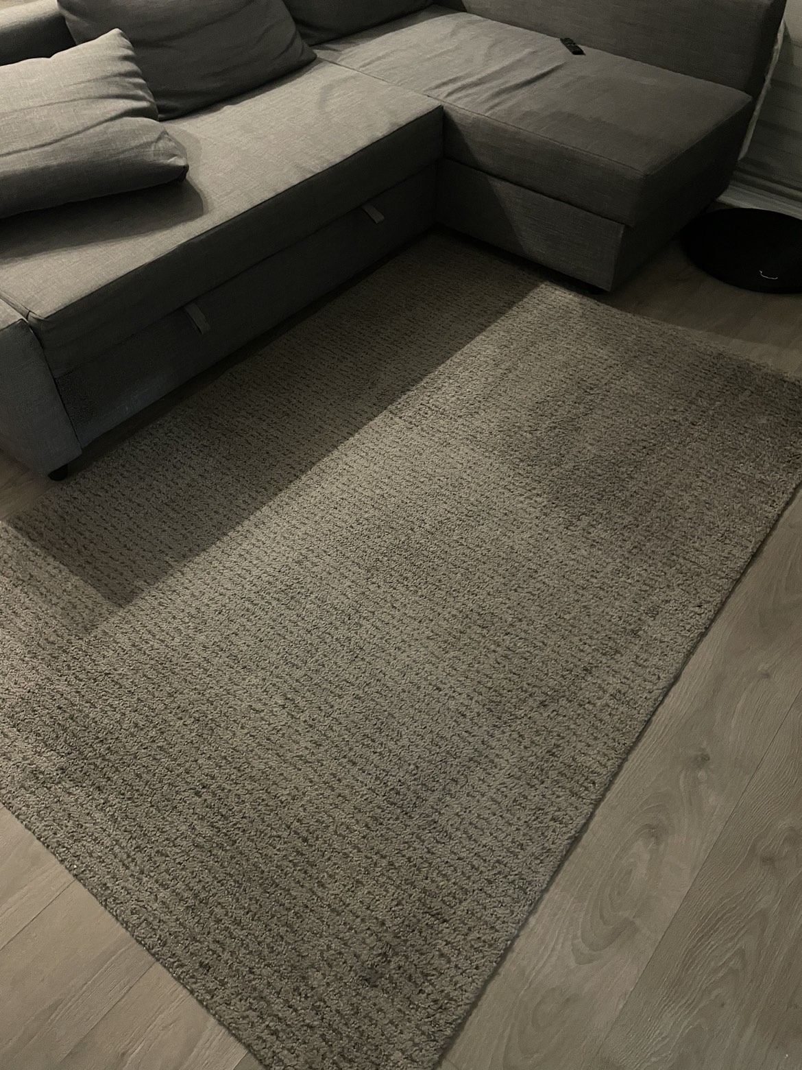 IKEA area rugs - LANGSTED