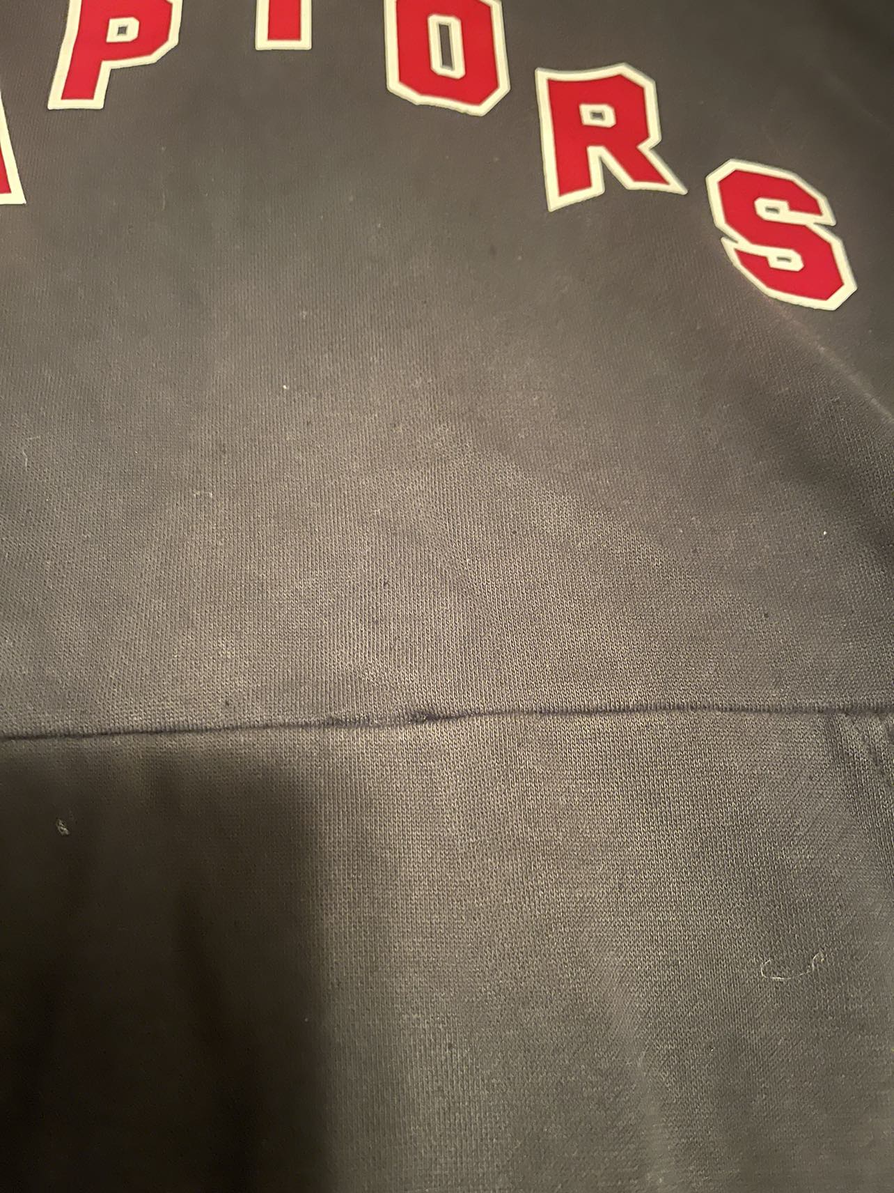 Toronto Raptors hoodie image indicator(3)