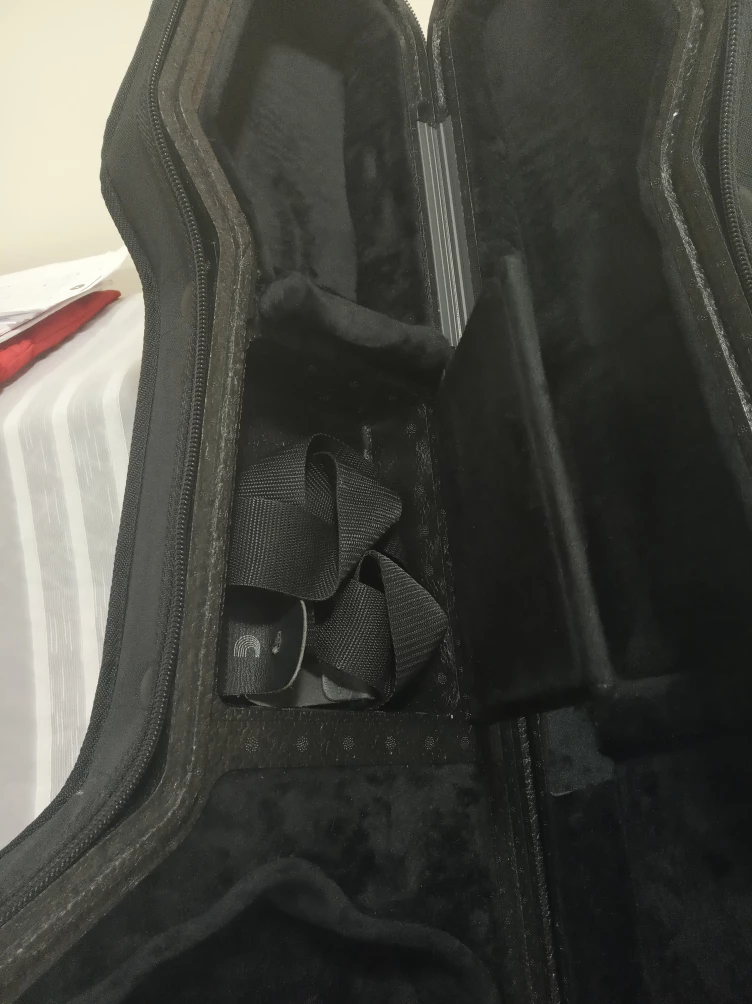 TRIC guitar case with Seagull logo - photo 2
