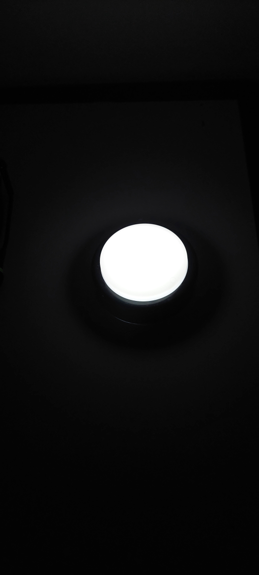 hand size light - photo 3