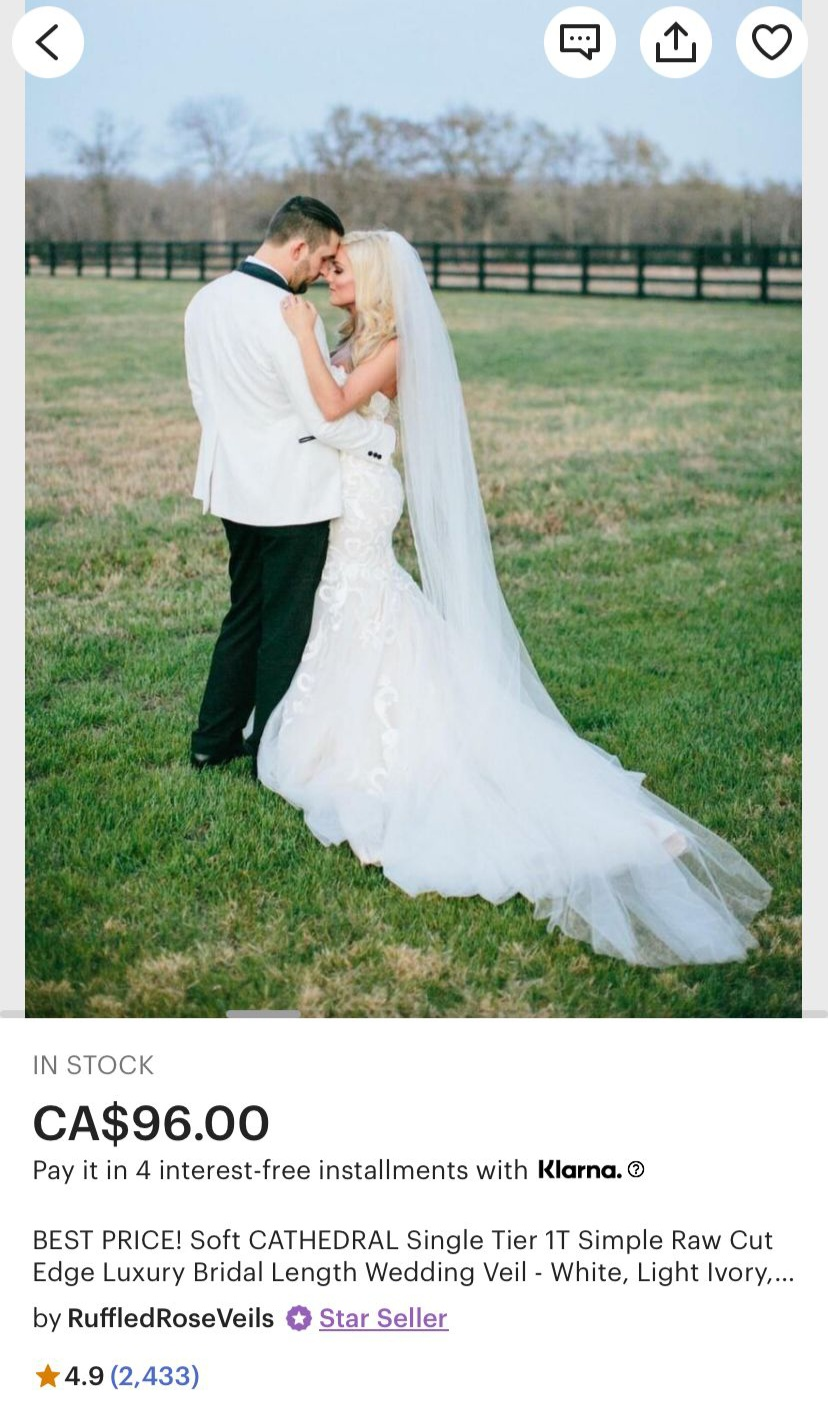 NEW Extra Long Cathedral Bridal Wedding Veil image indicator(2)