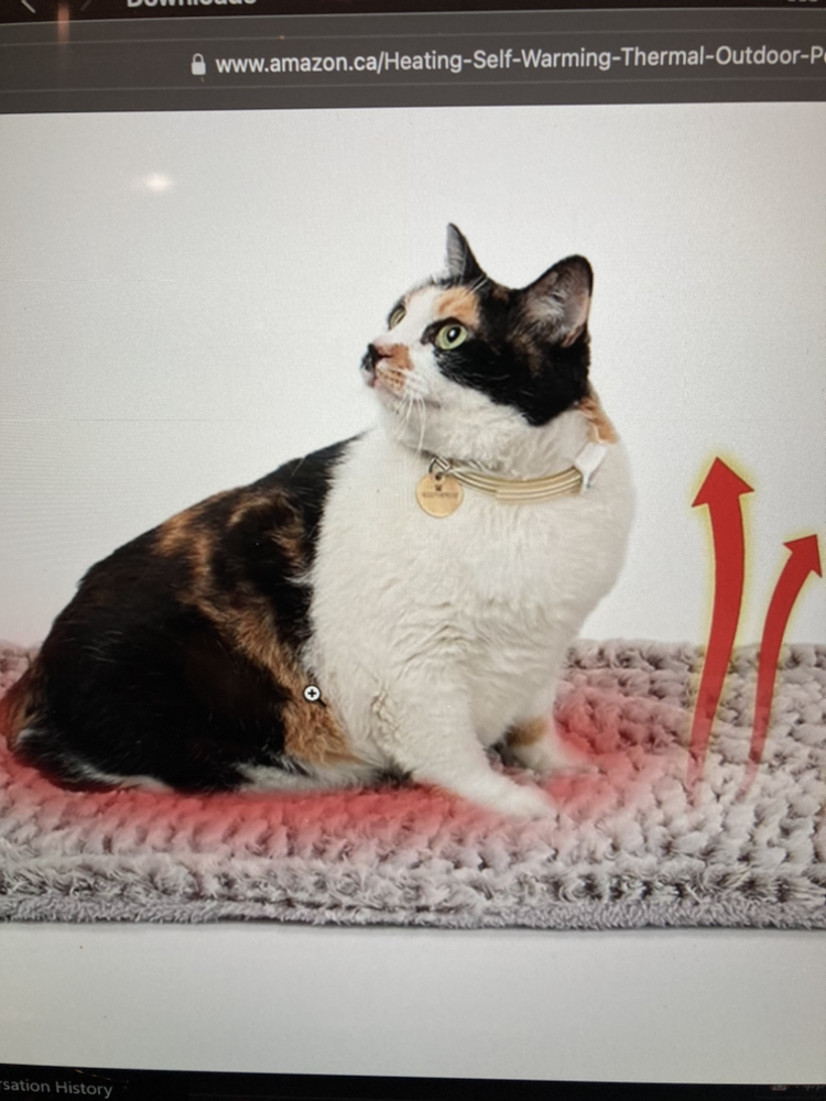 BNIP Self-heating Pet Mat image indicator(3)