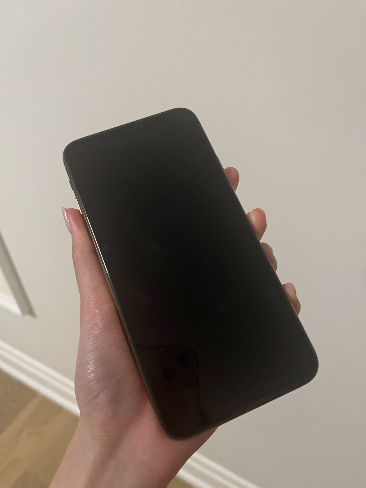 iPhone 11 Pro Max 256GB - photo 2
