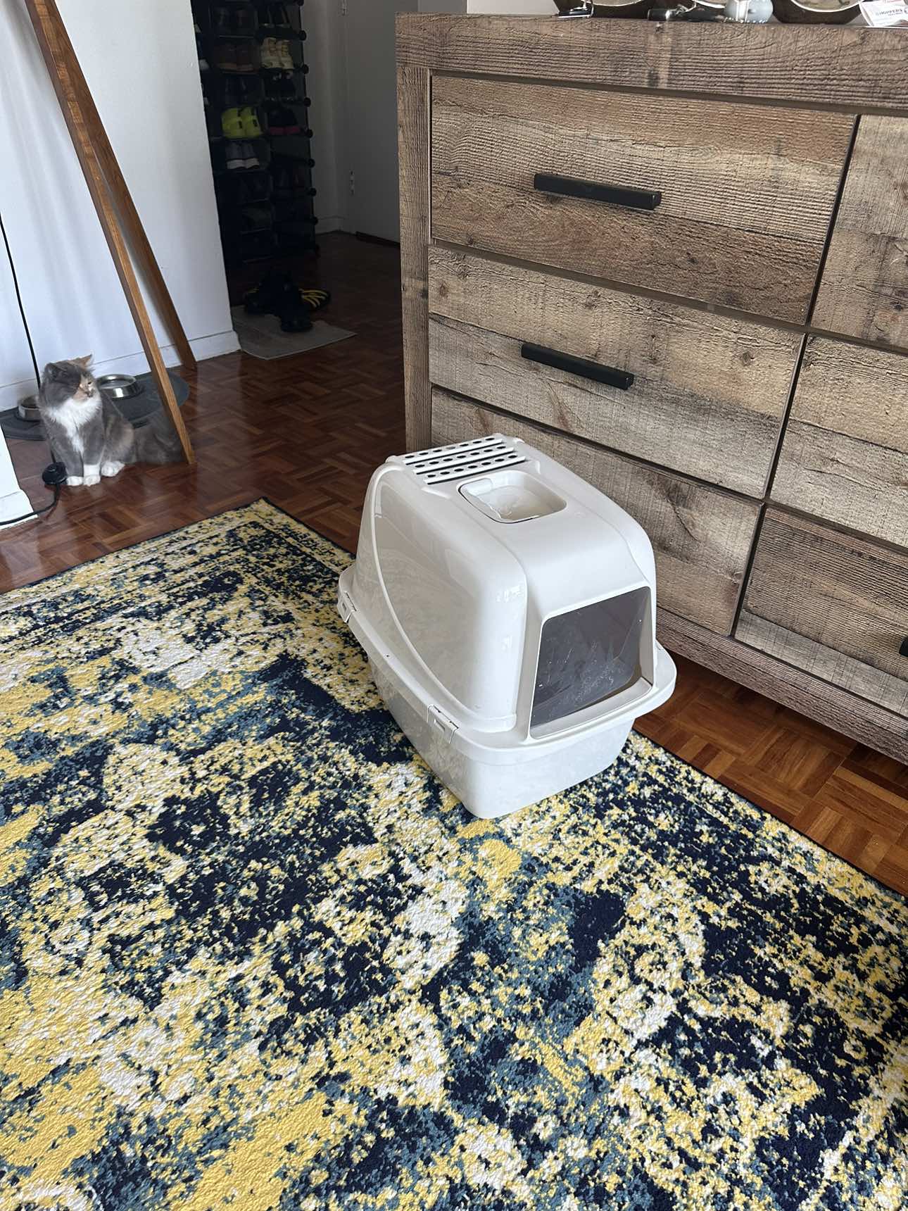 Cat litter box - photo 4