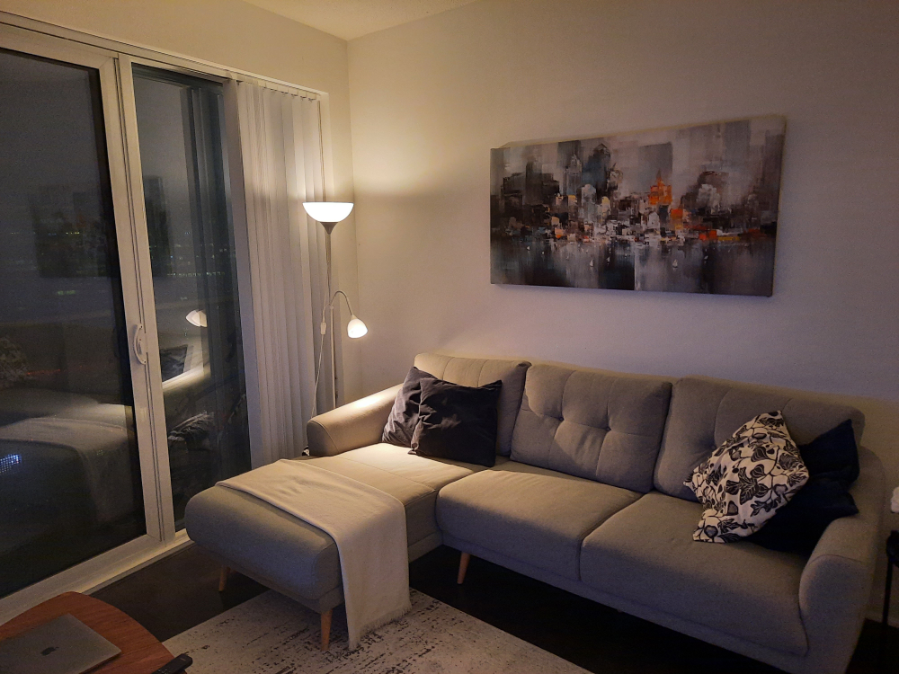 sectional couch ( Gibson from structube) Moving out sale