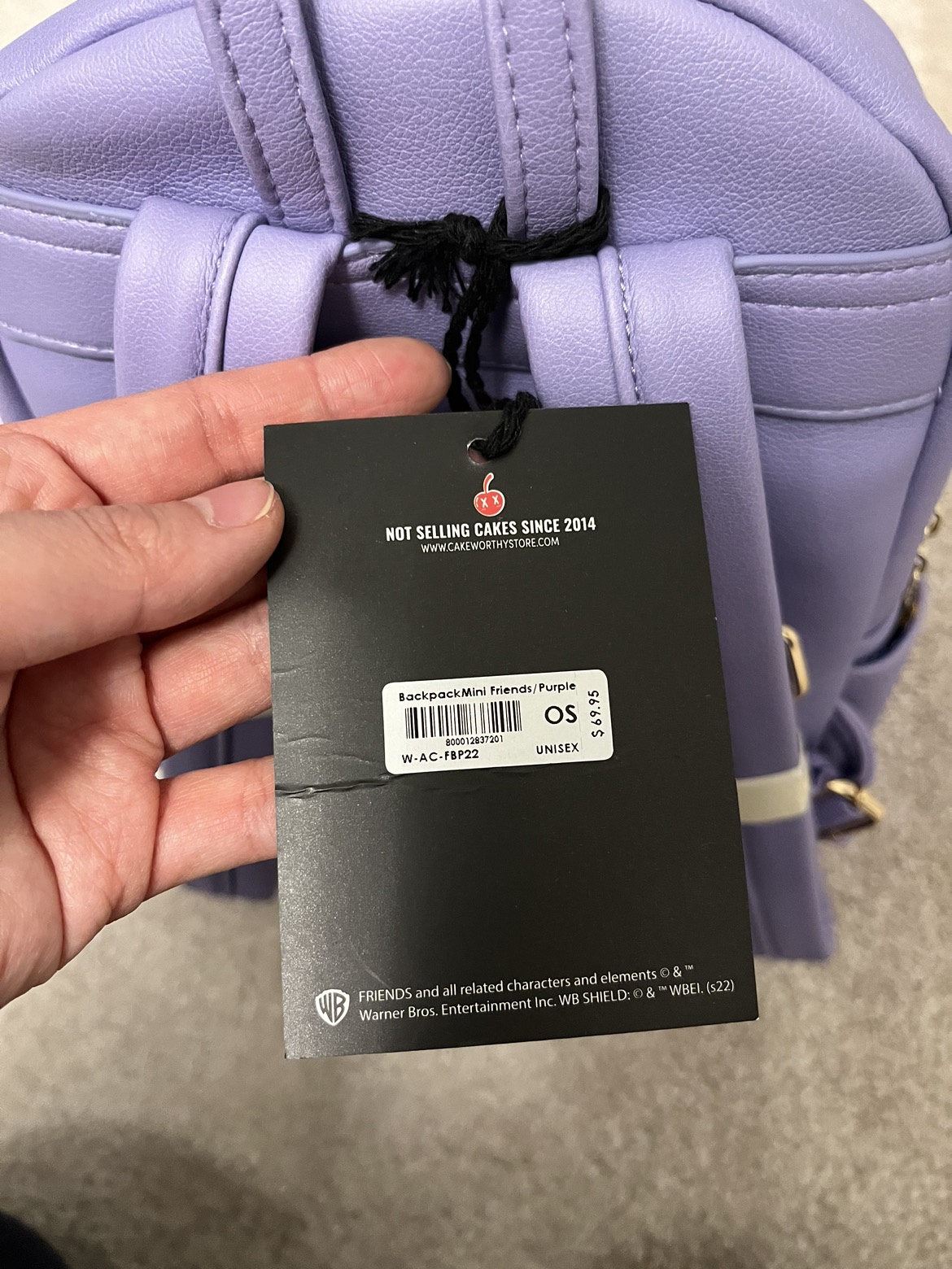 BNWT Warner Bros. Studio Tour Hollywood FRIENDS Mini Backpack image indicator(7)