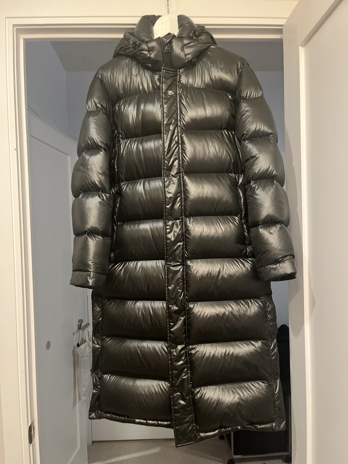 The Super Puff by Aritzia long parka size S