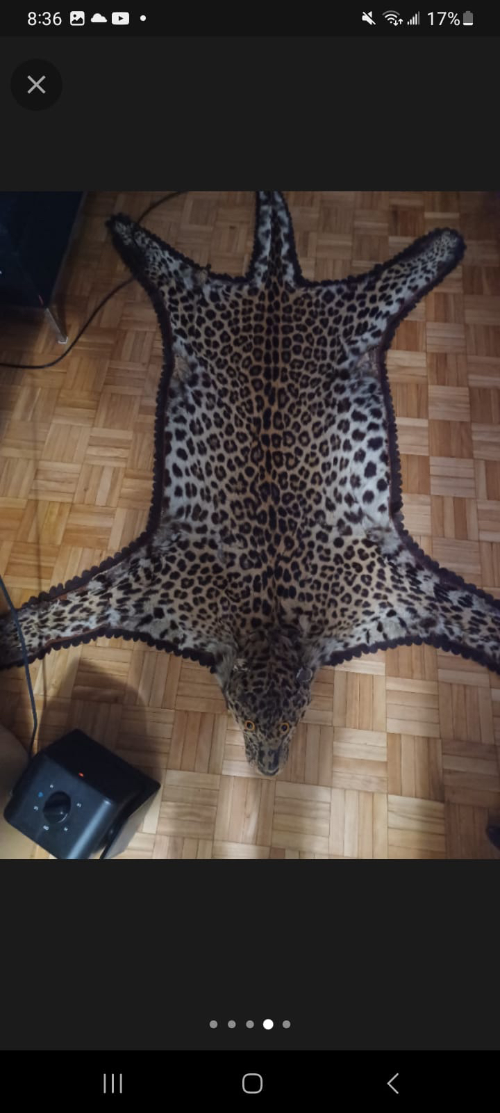 Leopard skin rug image indicator(3)