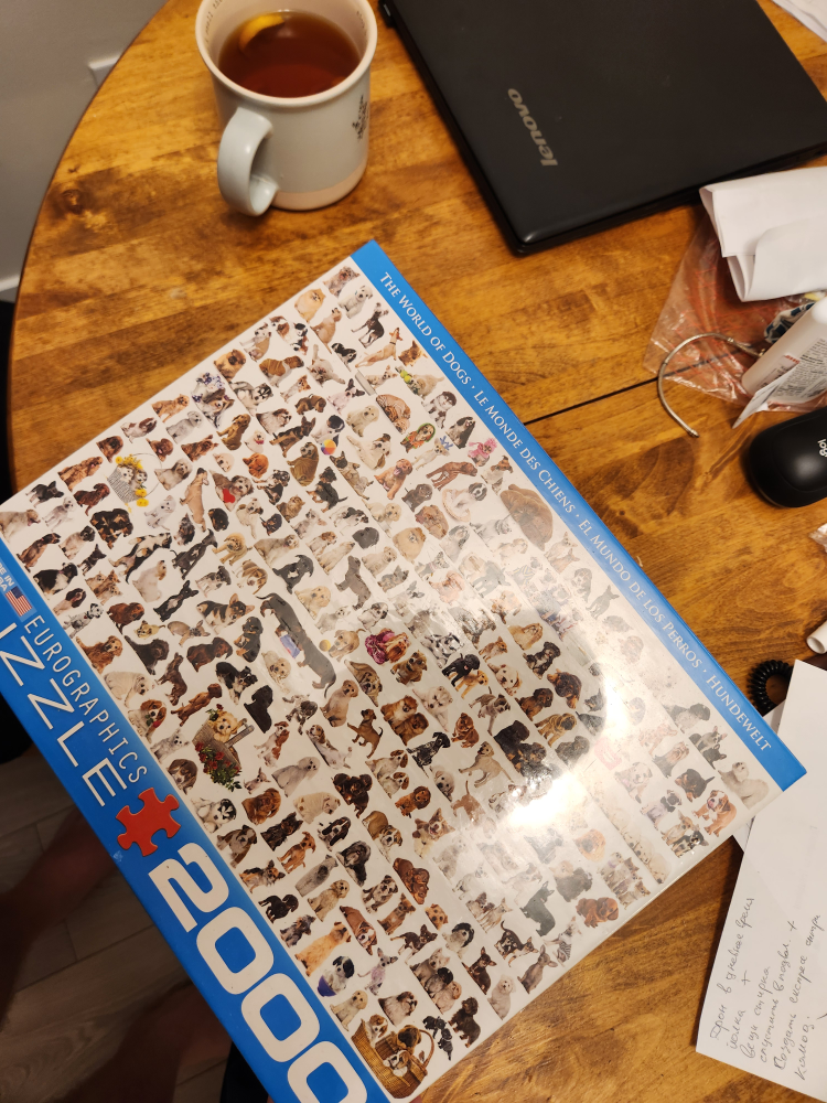 doog puzzle 2000 PC . new