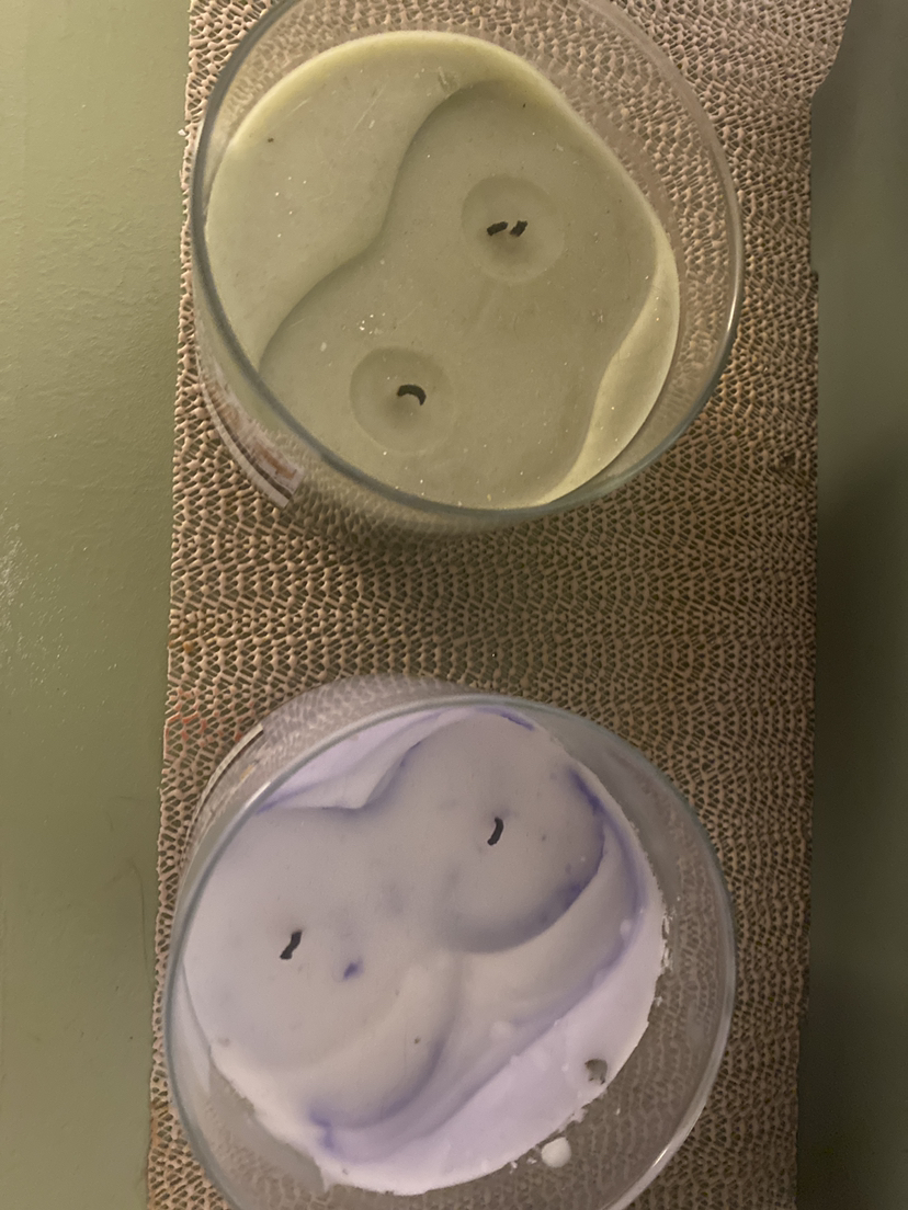 Candles $5 each image indicator(2)