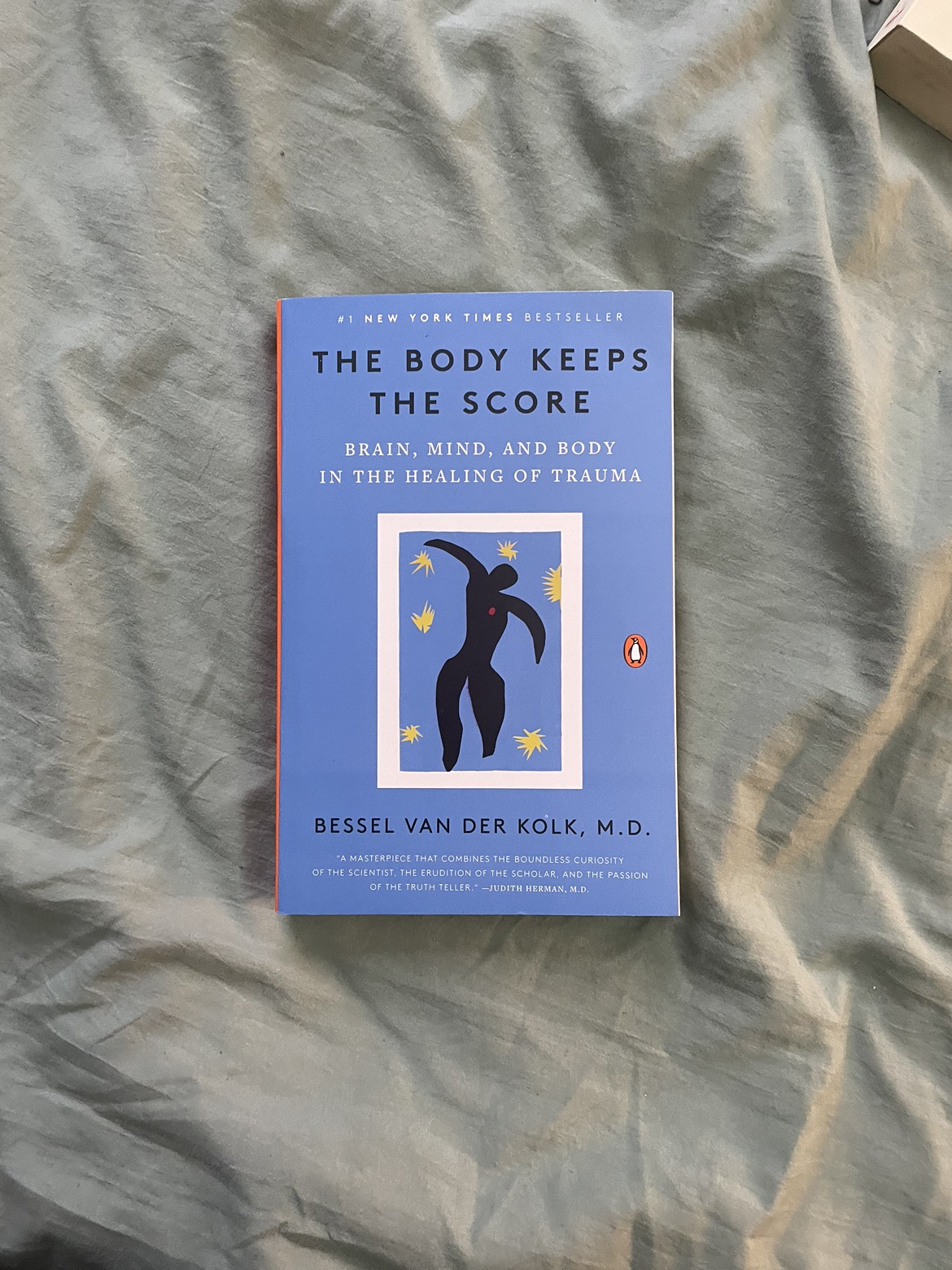 The body keeps the score