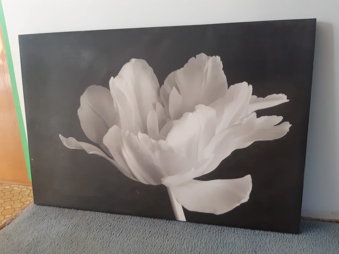 Black & White Hanging Picture | #FREECYCLE 💝 thumbnail