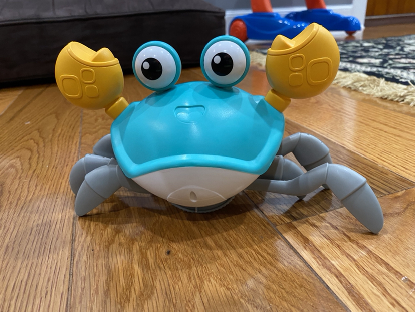 Walking crab - photo 2