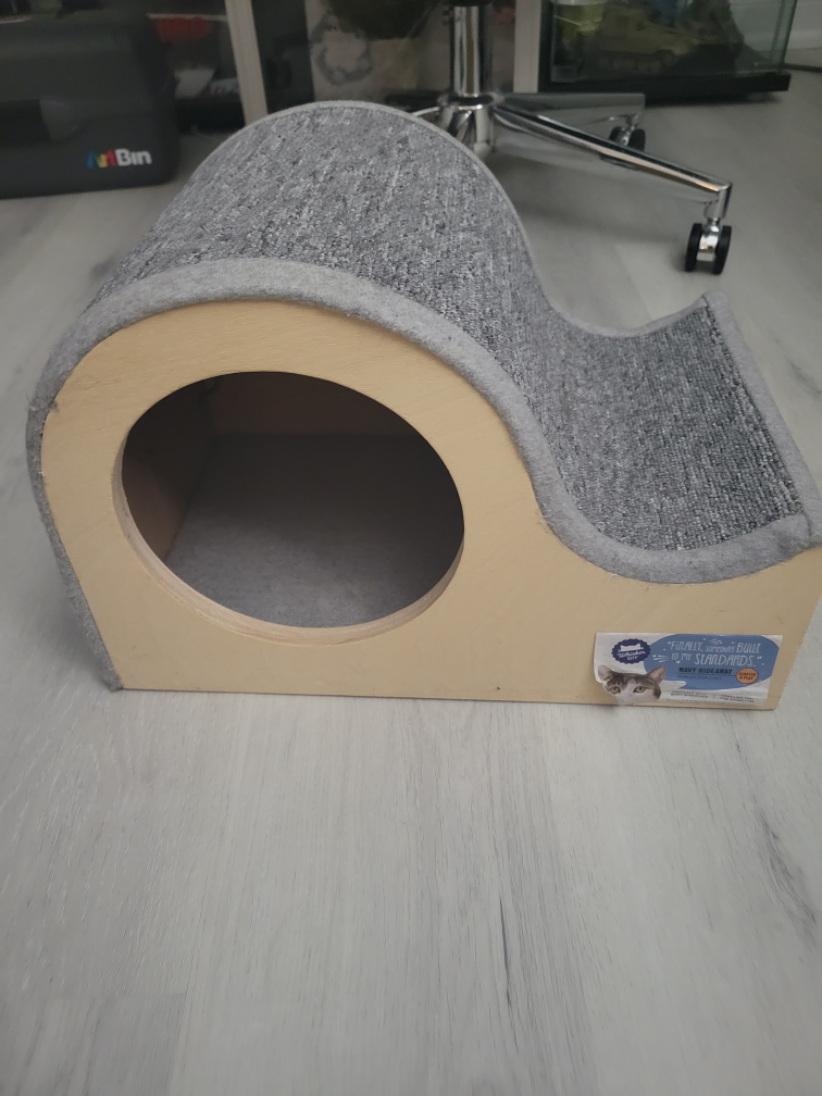 cat posts
