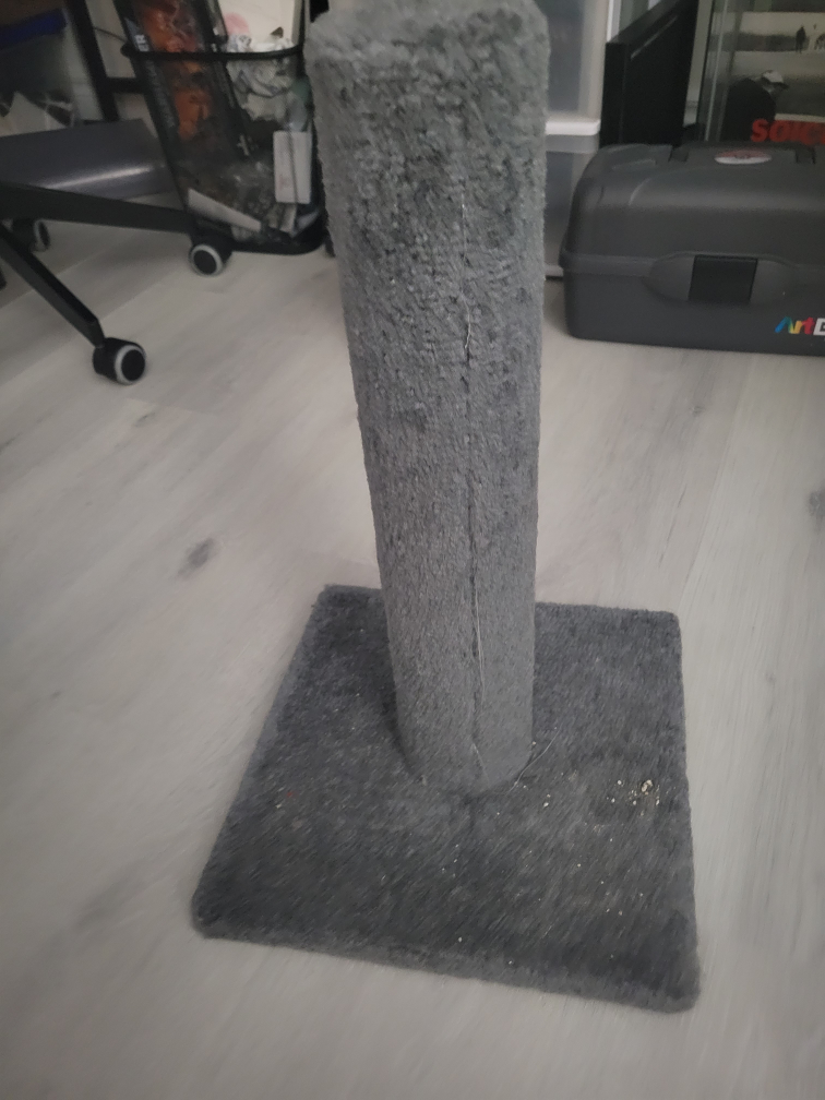 cat posts image indicator(2)