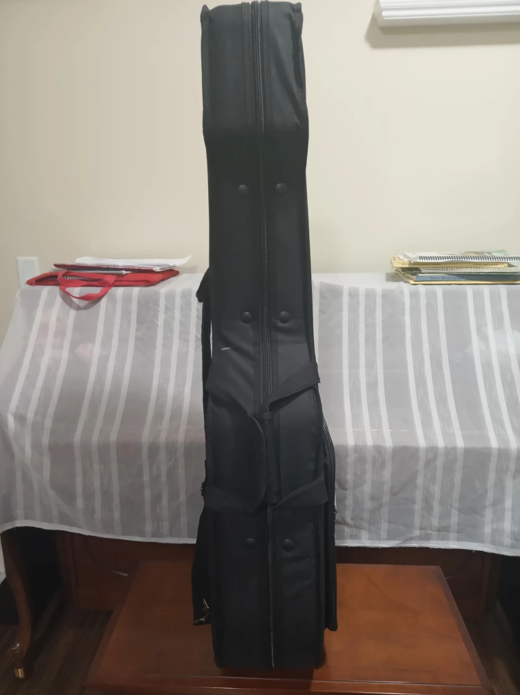 TRIC guitar case with Seagull logo - photo 5
