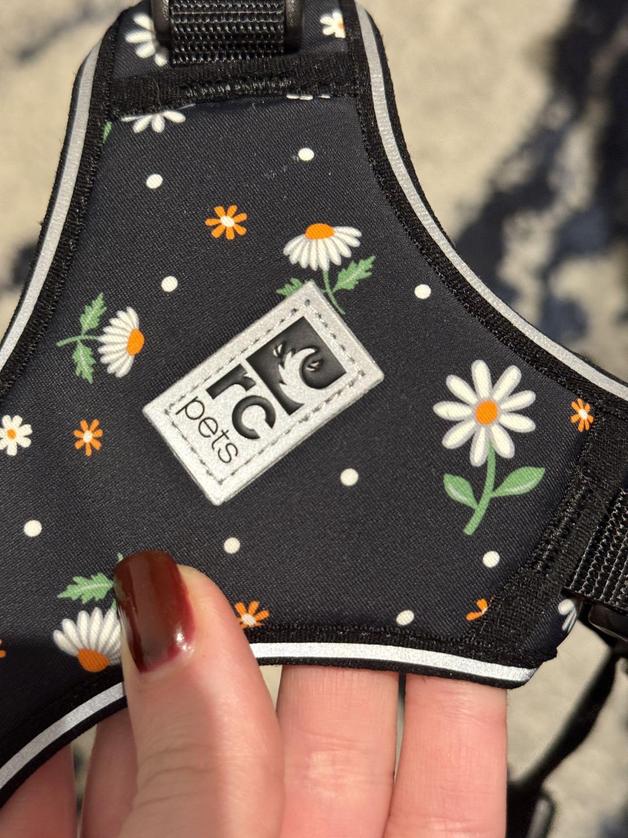 RC Pets Adventure Kitty Harness Daisies M image indicator(3)